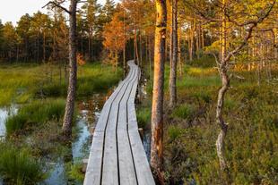 Lahemaa-Nationalpark