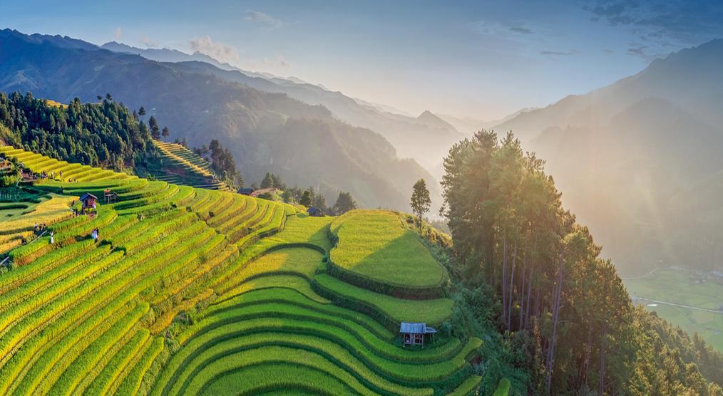 Die Reisterrassen von Mu Cang Chai
