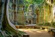 Ta Prohm Tempel