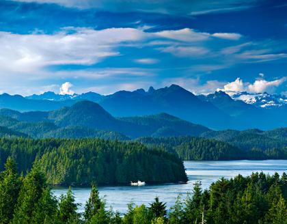 Tofino