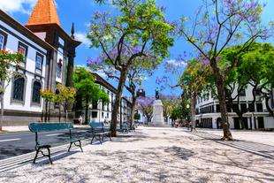 Funchal Stadt