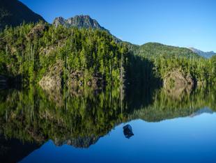 Larry Lake