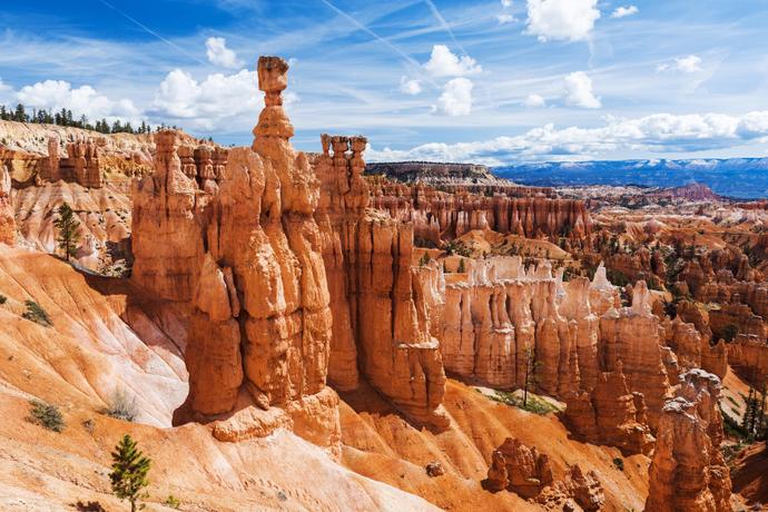 Blick auf die Hoodoos im Bryce Canyon Nationalpark auf einer USA Reise 