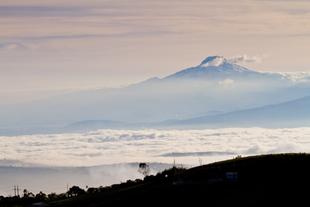 Cayambe Vulkan