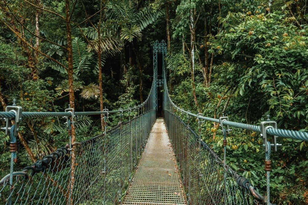 Hängebrücke in Monteverde