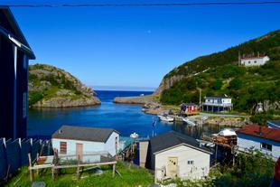 Quidi Vidi 