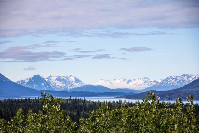 Aussicht auf den Atlin Lake und den Llewellyn Gletscher