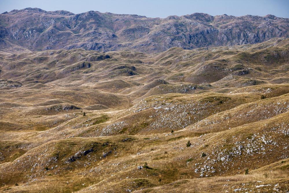 Sinjajevina Gebirge 