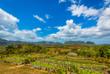 Finca Agroecológica El Paraíso