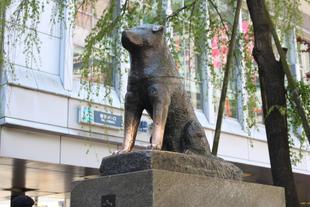 Hachikō Statue
