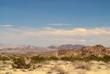 Landschaft der Mojave Wüste