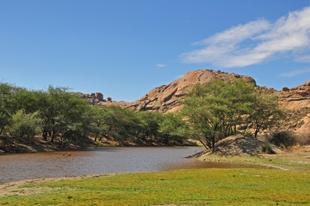 Landschaft