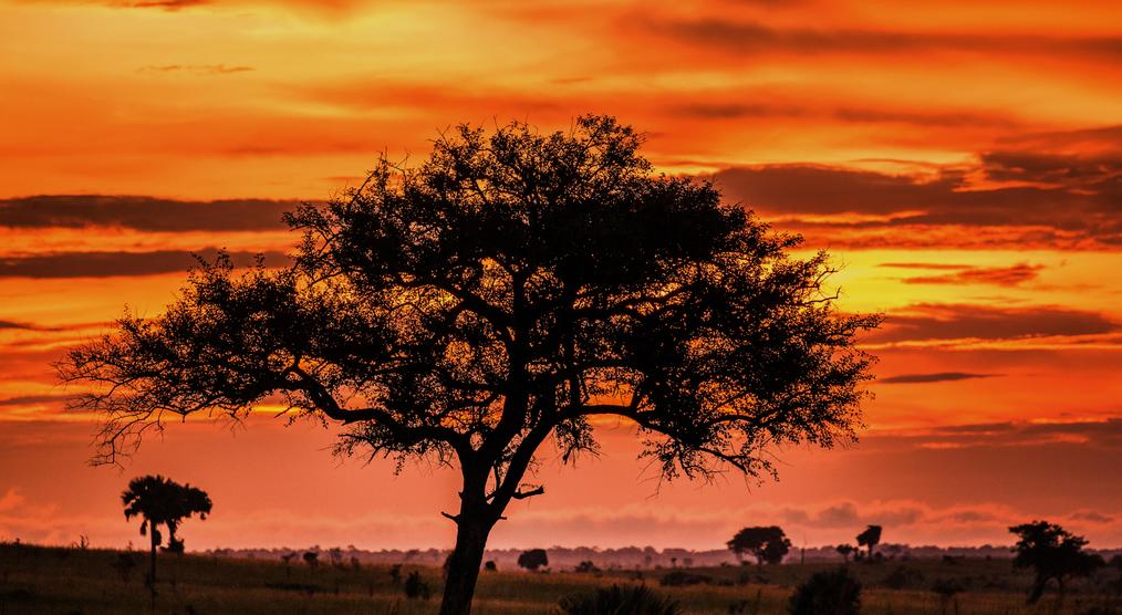 Sonnenuntergang im Nationalpark