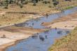 Fluss im Tarangine Nationalpark