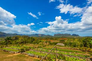 Finca Agroecológica El Paraíso