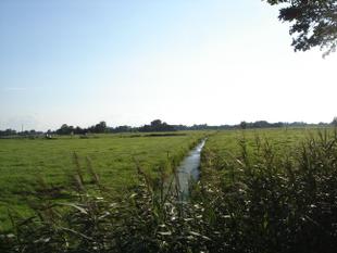 Marsch - eine typische Landschaftsform in Norddeutschland