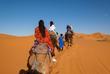 Kamelritt in den Sanddünen von Erg Chebbi 