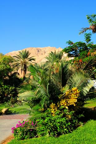 Botanischer Garten