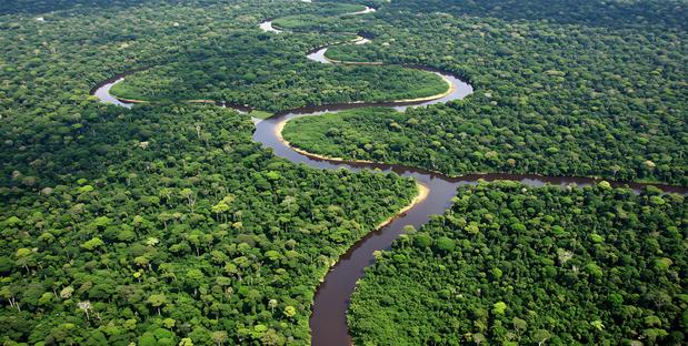 Amazonas