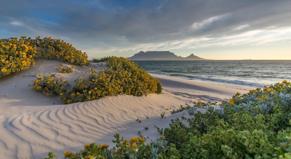 Strand in Blouberg