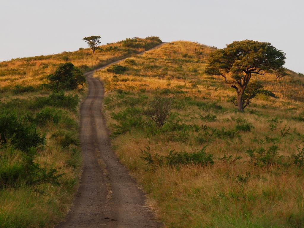 Lodge Gelände in Hluhluwe