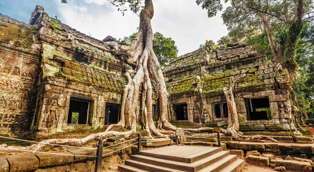 Blick auf den Ta Prohm Tempel bei einer 25 Tage Indochina Rundreise