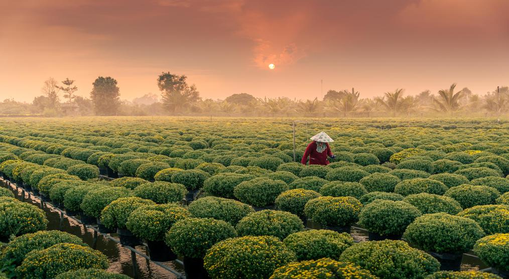 Mekong Delta in Vietnam