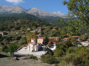 Socha