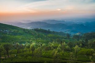 Hochland von Sri Lanka