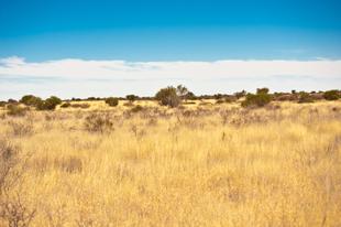 Blick auf die Kalahari Wüste