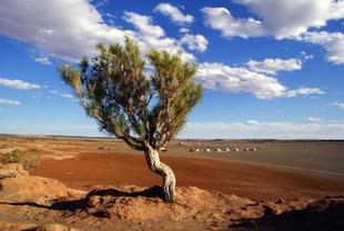 Landschaft der Gobi Wüste