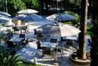 Terrasse und Bar 