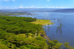 Blick auf den Nakuru-See