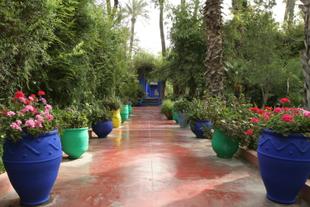 Jardins Majorelle