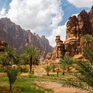 Palmen und Berge in Wadi Disah