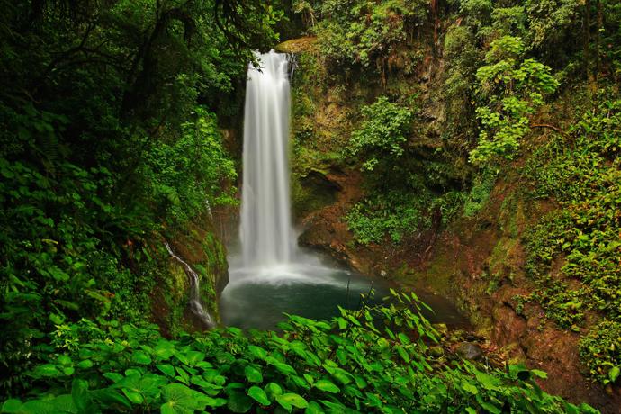Tenerio National Park Wasserfall