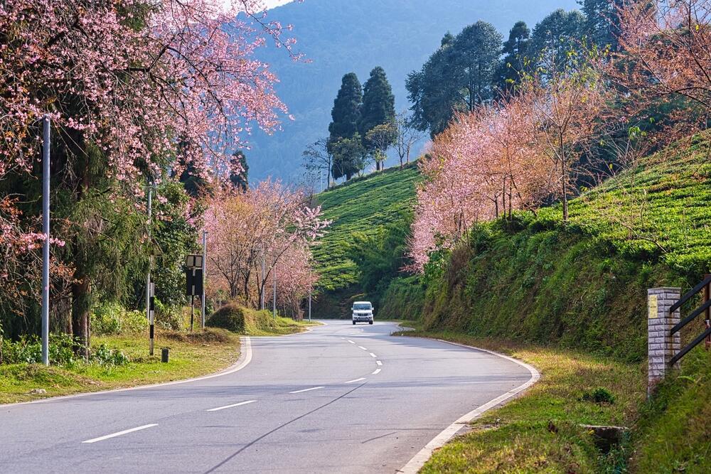 Straße durch Sikkim