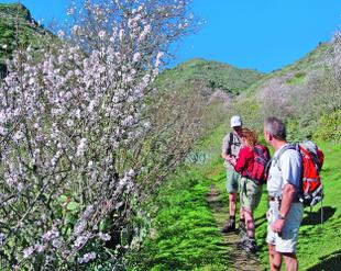 Wanderer im grünen Tal