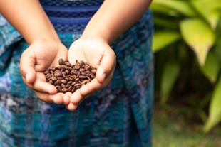 Kaffee aus Costa Rica