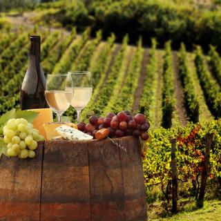 Weinberge in der Toskana