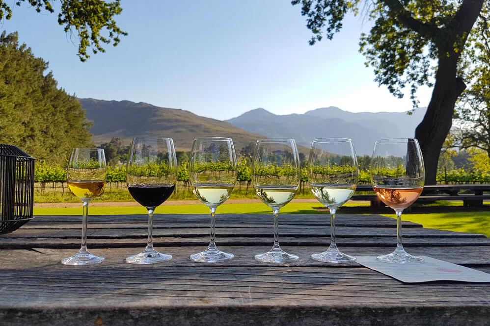 Weinverkostung in Franschoek