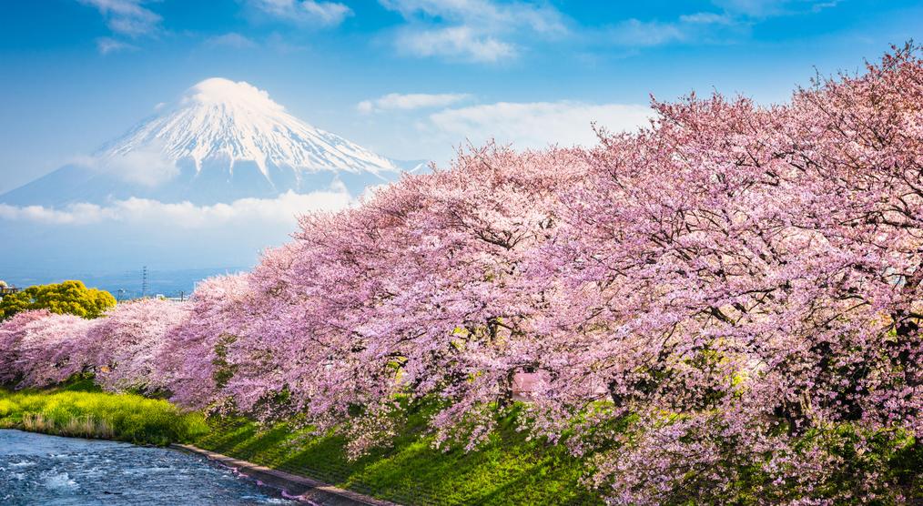 Fuji