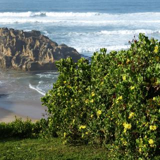 Gardenroute