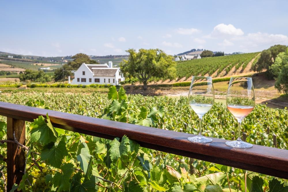 Weine in Stellenbosch 