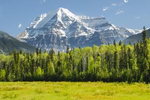 Mount Robson