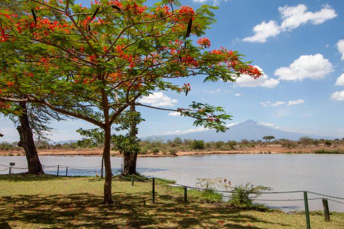 Ziwani Wildlife Sancturary