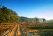 Landschaft im Bandhavgarh Nationalpark 