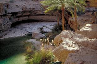 Wadi