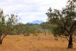 Landschaft bei Rincón de la Vieja 