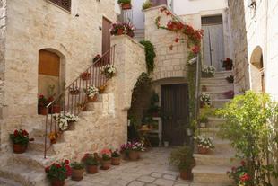 Hof in Cisternino 